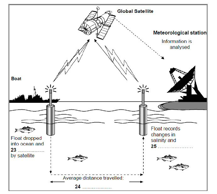 لیسنینگ آیلتس 14